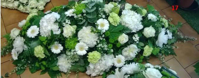 Un-jour-un fleur_fleurite_Rambouillet(g3.20)